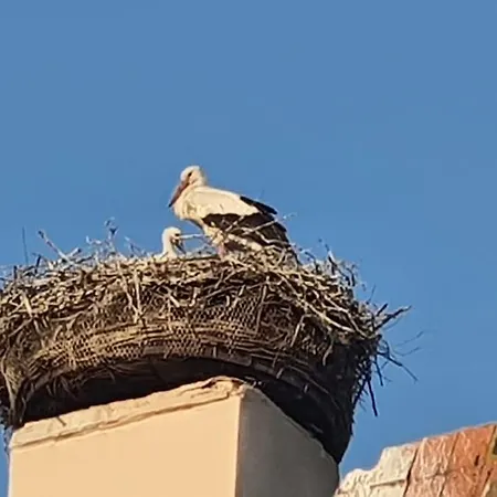 L'arsenal - Centre - Poche Commerces & Restaurant - 6 P *