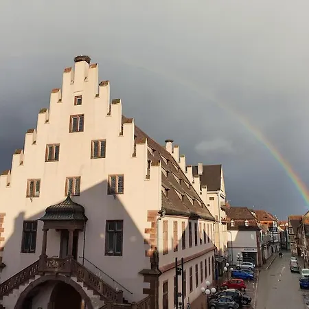 L'arsenal - Centre - Poche Commerces & Restaurant - 6 P * Sélestat