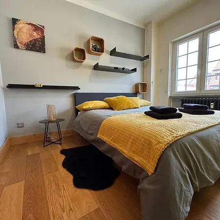 L'arsenal - Centre - Poche Commerces & Restaurant - 6 P Lejlighed Sélestat