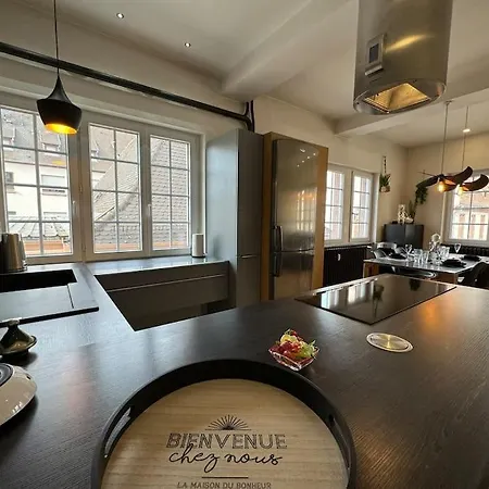 L'arsenal - Centre - Poche Commerces & Restaurant - 6 P Lejlighed Sélestat